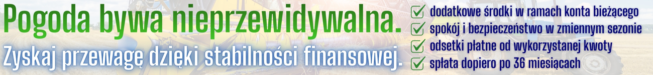 baner reklamowy